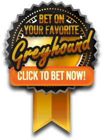 Click here to bet on your favorite greyhound now!